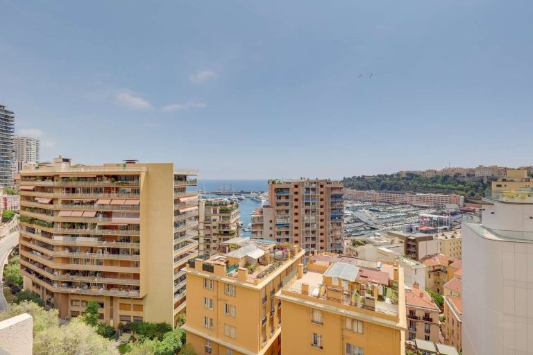 appartement 3 Pièces en vente sur MONACO (98000)